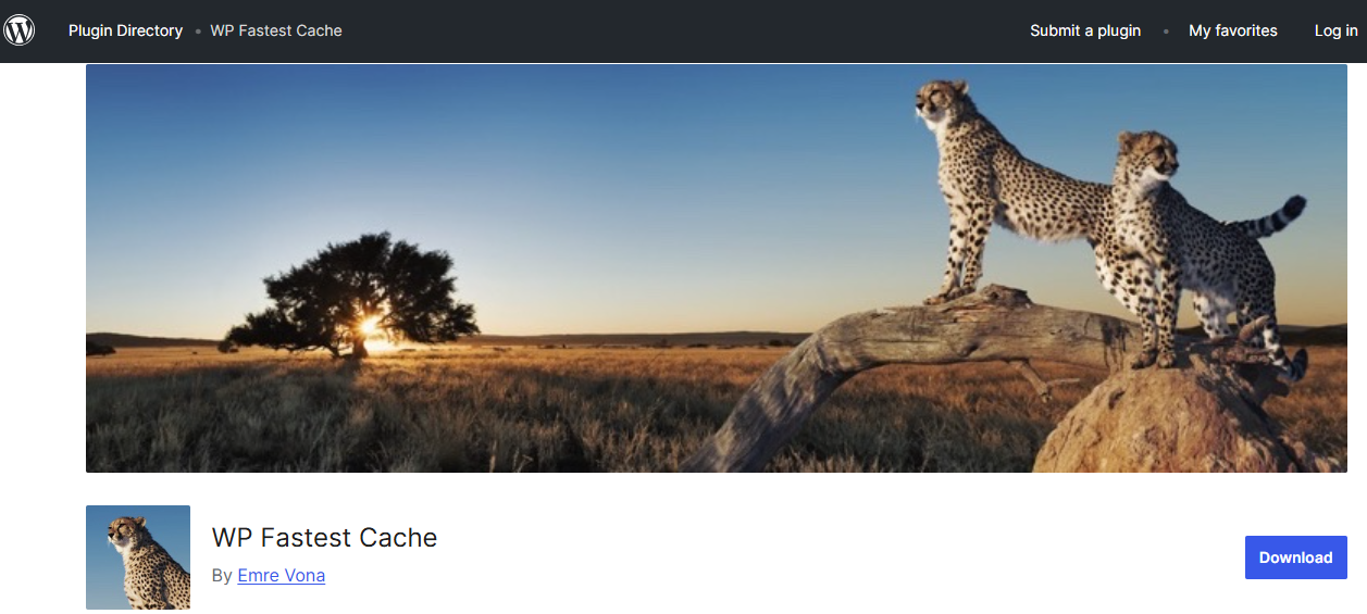 WP Fastest Cache
