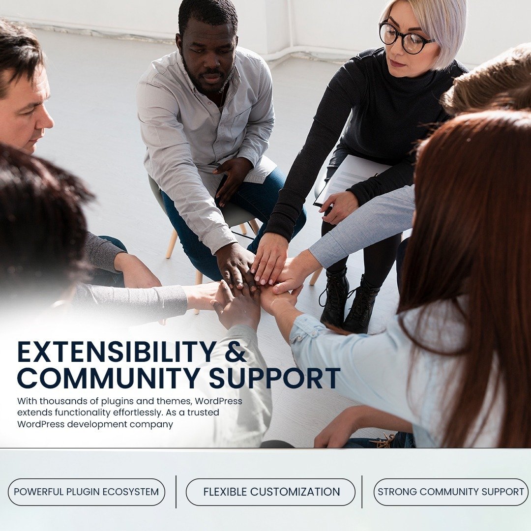 WordPress Development Company Community Support